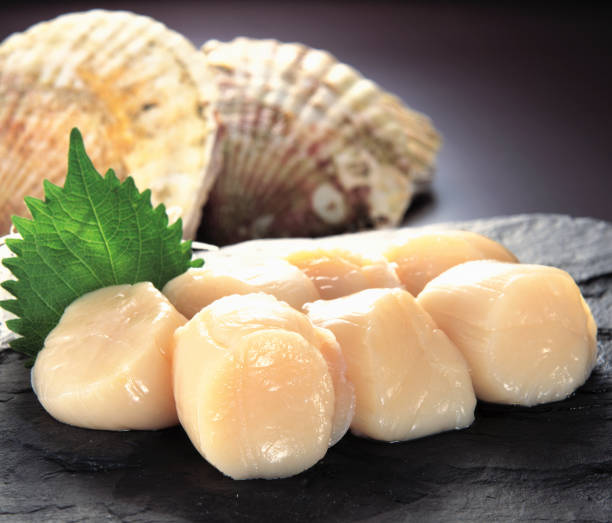 日本刺身級帶子 size 4S